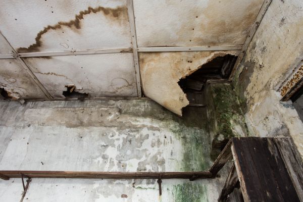 Water Damage Service in Winter Haven