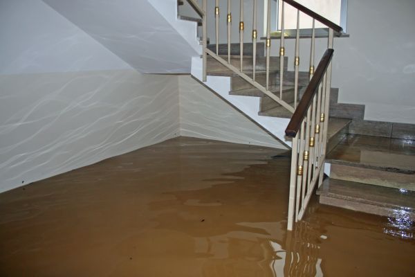Storm Damage Restoration in Winter Haven