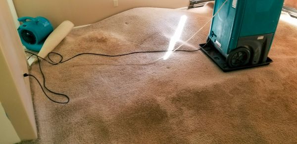 Flood Damage Cleanup in Winter Haven