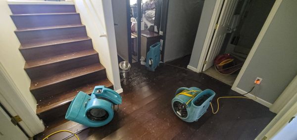 Water Damage Remediation in Winter Haven