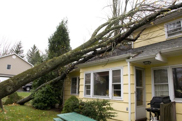 Hurricane Damage Repair in Winter Haven